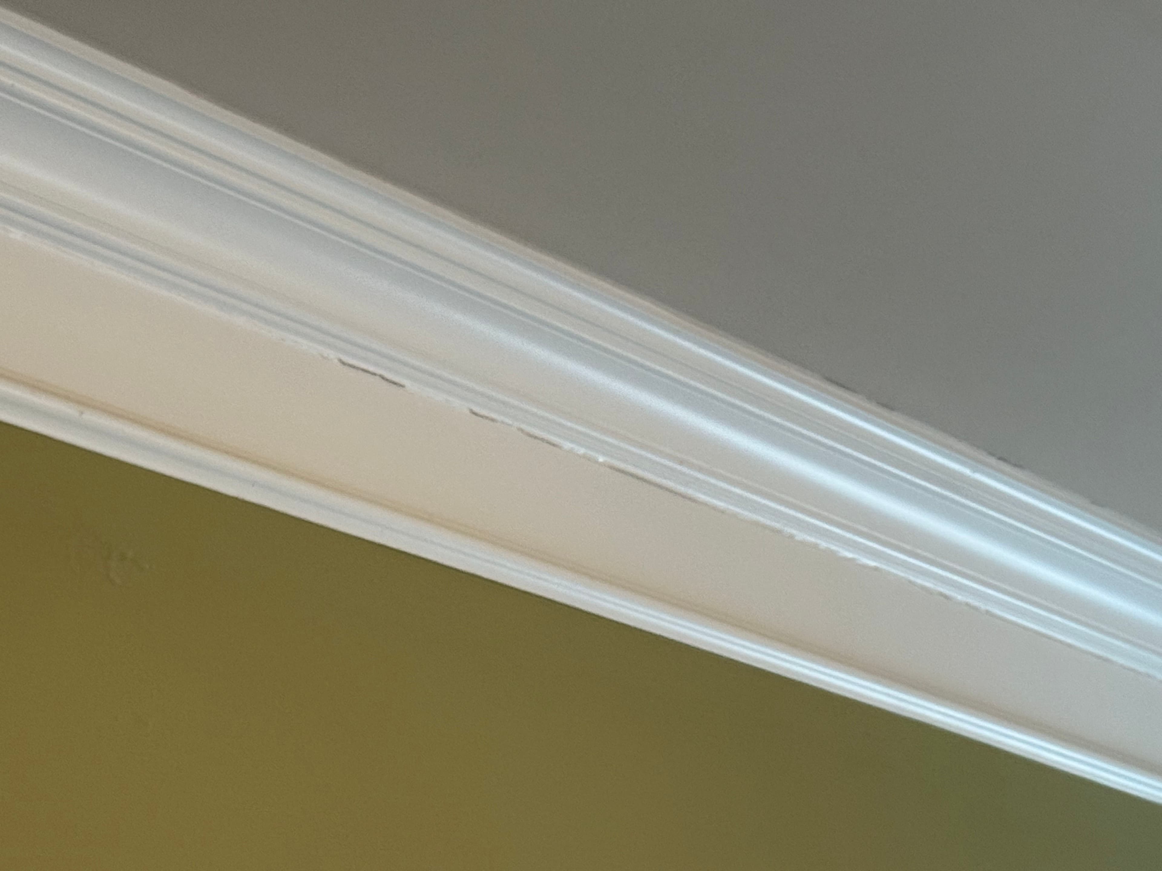 Project Addressing Structural Issues for Peace of Mind in Gallatin image