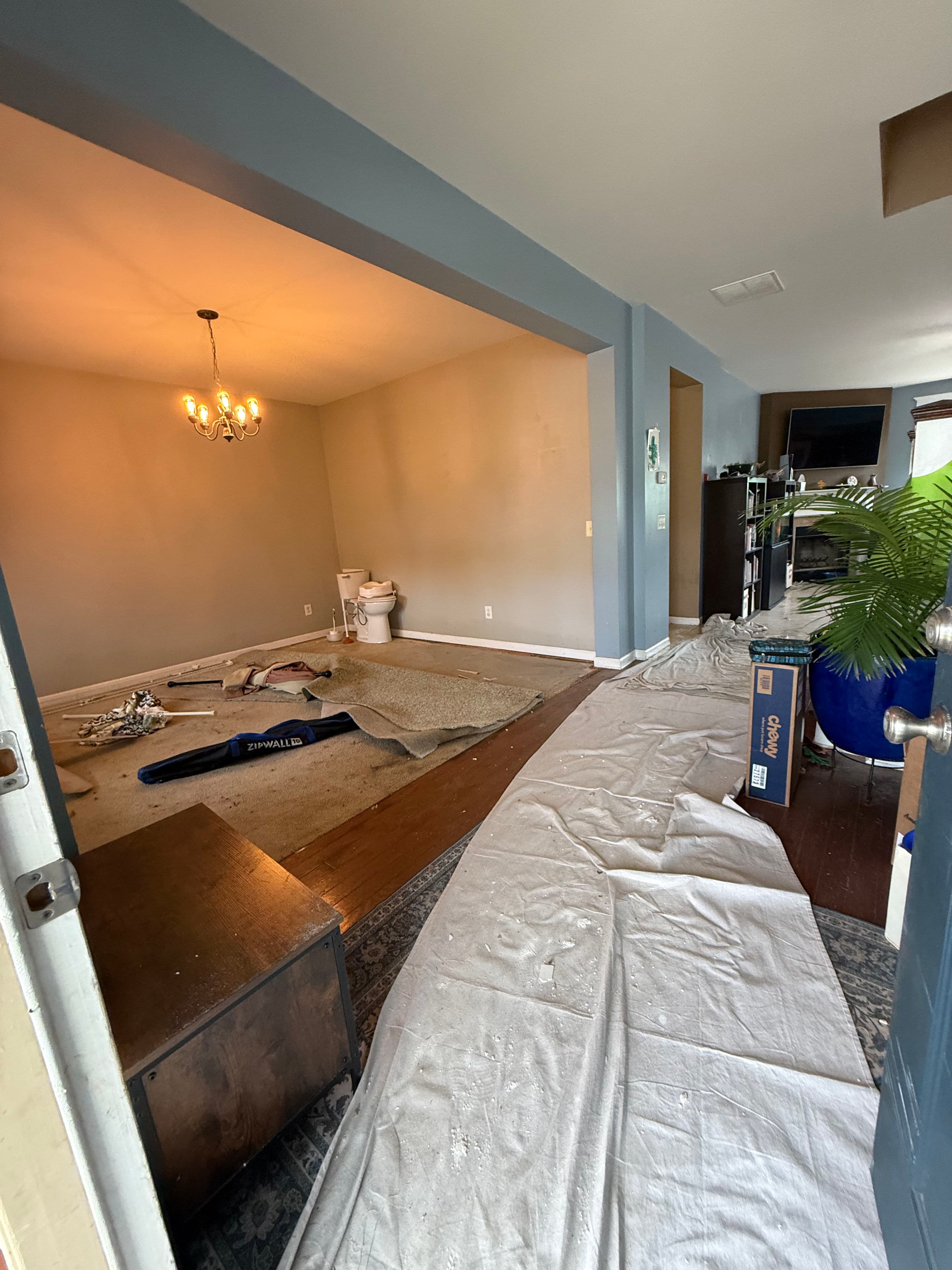 Project Nashville Bathroom and Bedroom ADA Remodel in Progress image