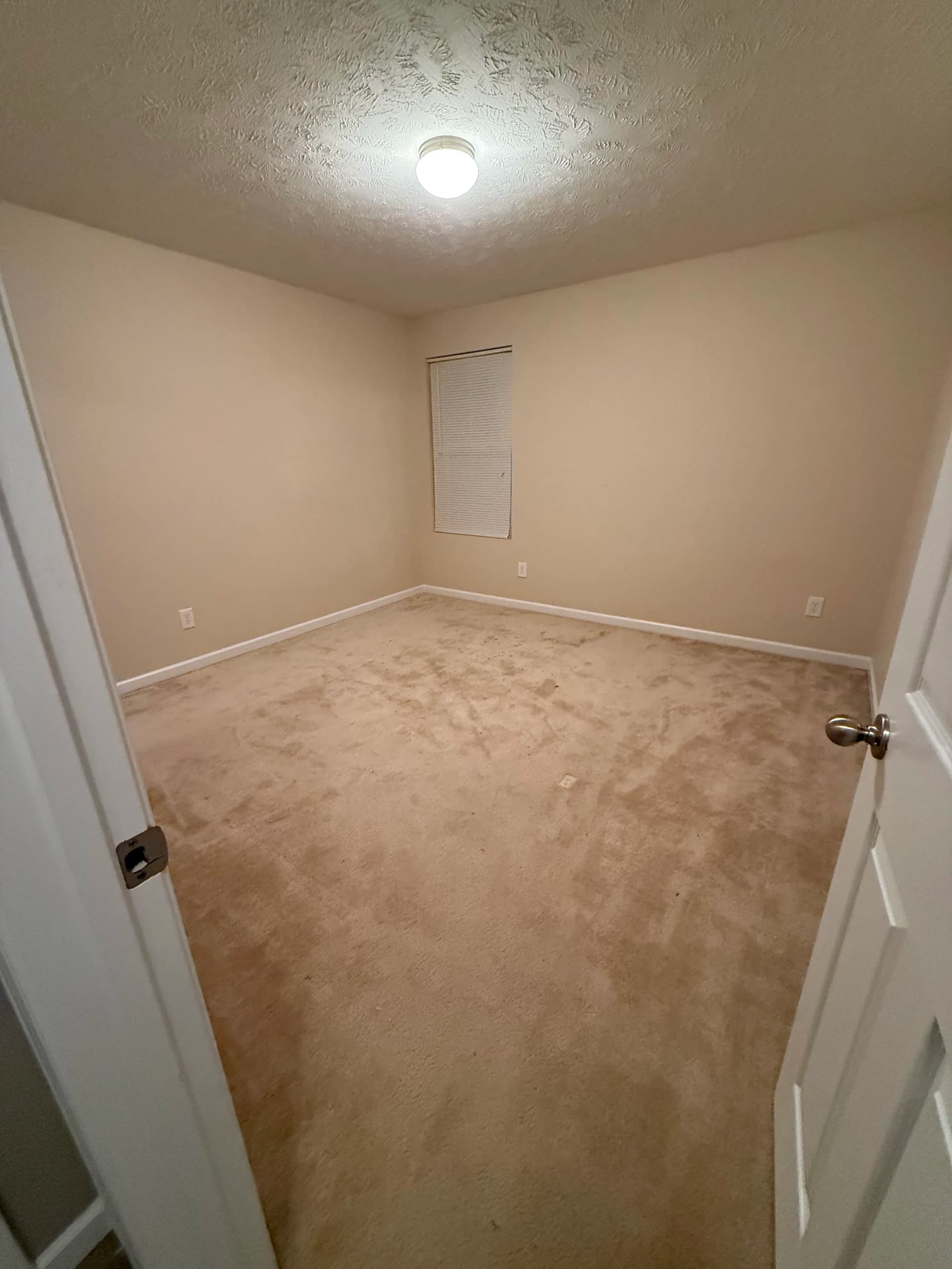 Gallery photos for Builder-Grade Carpet Swapped Out for 65 oz Upgrade: Image #3