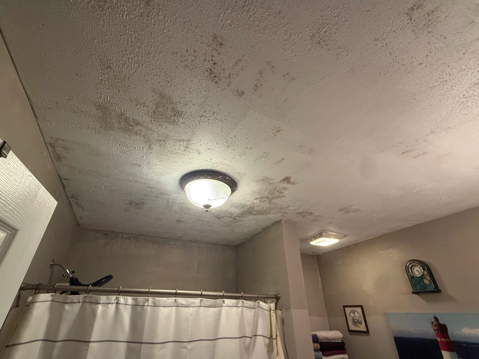 Rental Property Mold Remediation and Full Interior Renovation