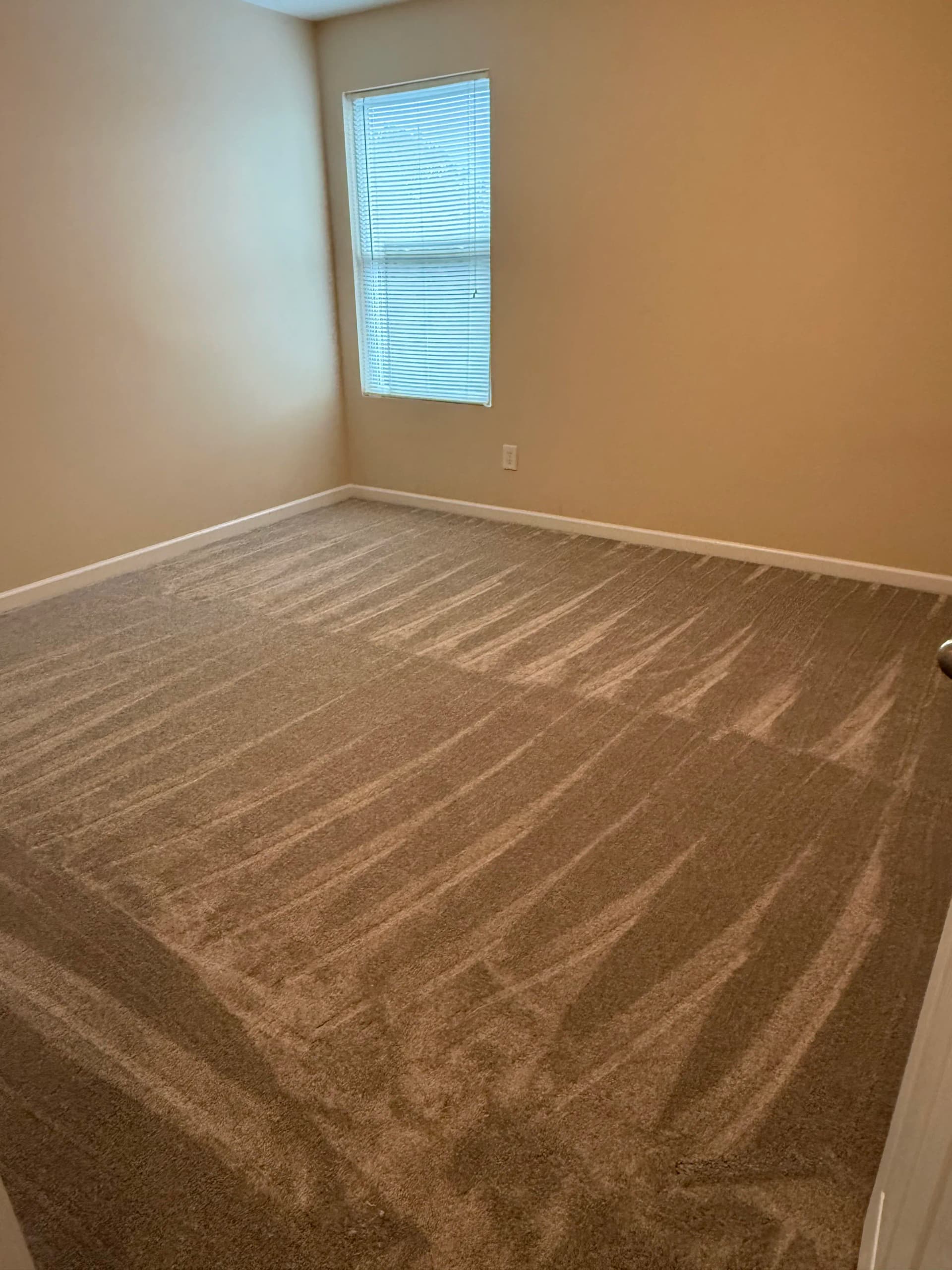 Builder-Grade Carpet Swapped Out for 65 oz Upgrade