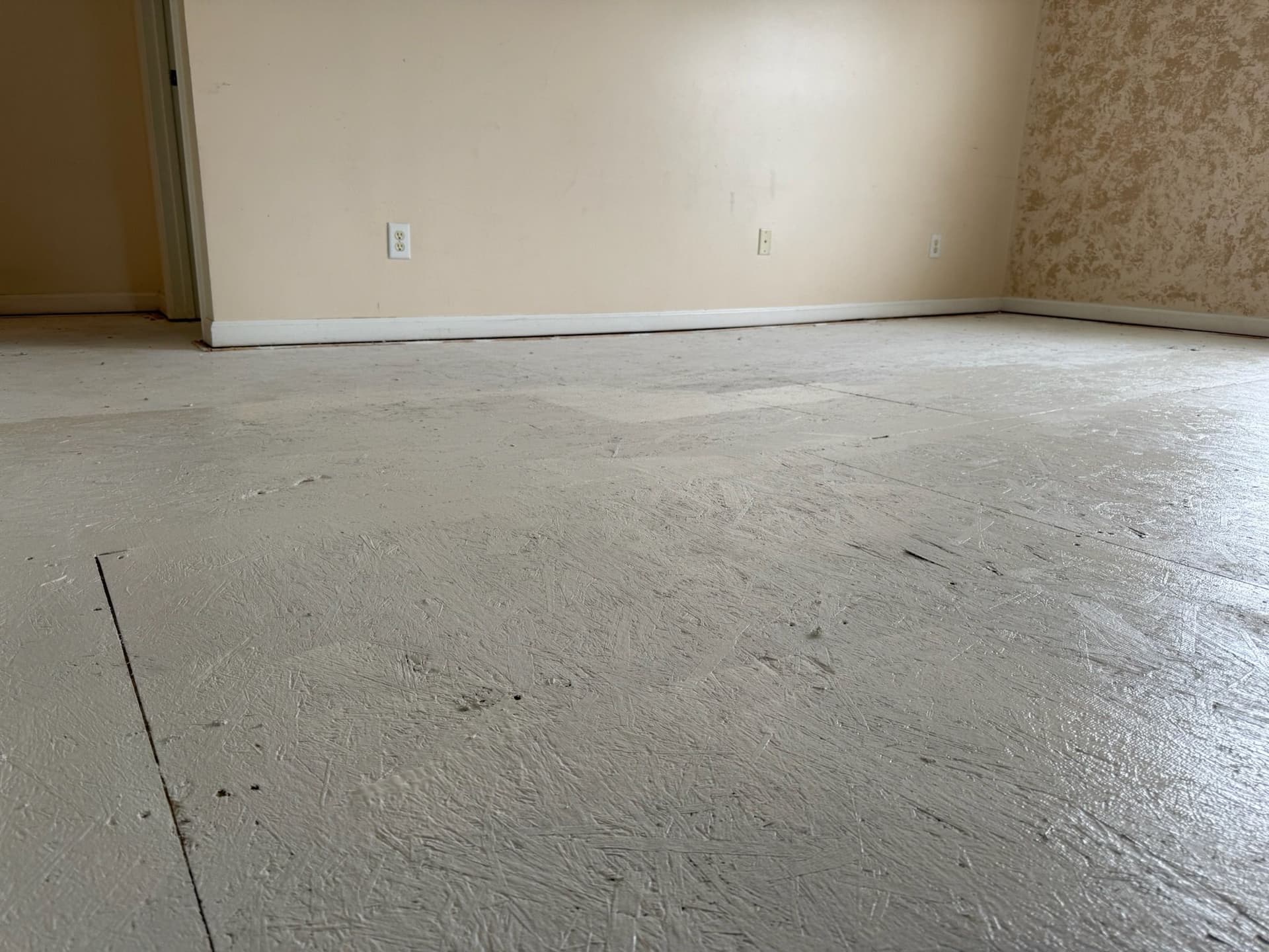 Franklin TN's Floor Revamp - Enzyme-Treated Subfloor Completed image