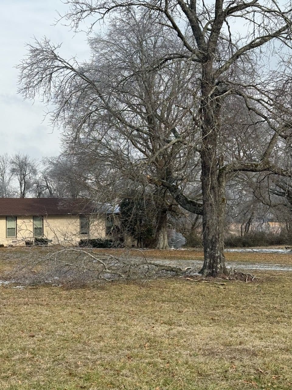 Expert Cleanup and Repair Services for Winter Storm Damage image