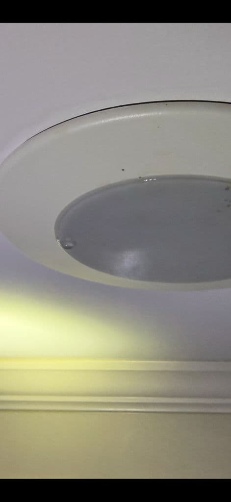 Project Comprehensive Home Repair Services in Nashville image