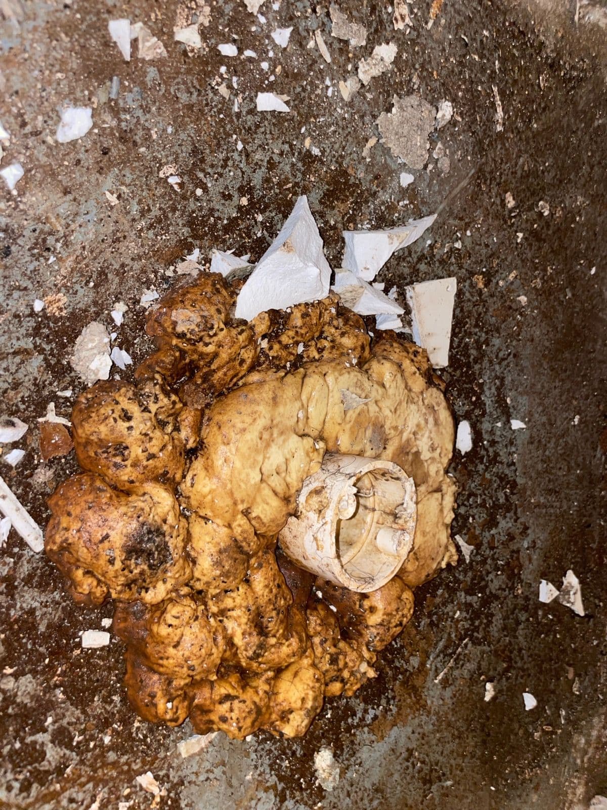 Fixing Shower Floor Issues in Fairview image